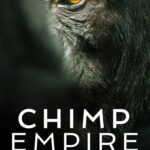 Chimp Empire